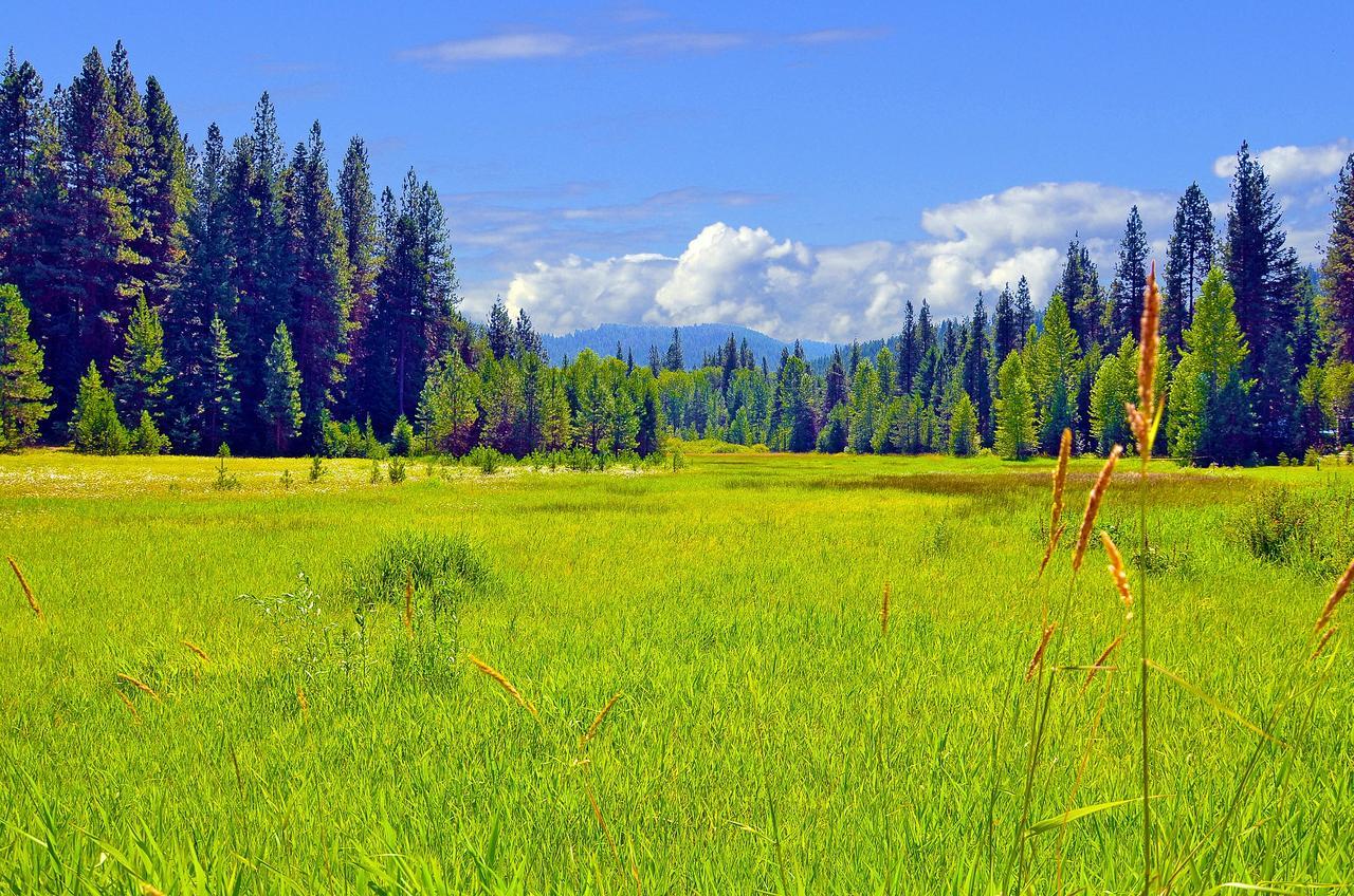 Leavenworth Camping Resort Tiny House Hanna Экстерьер фото